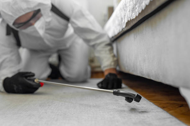 Professional Bed Bug Control technician working in Winsted, CT